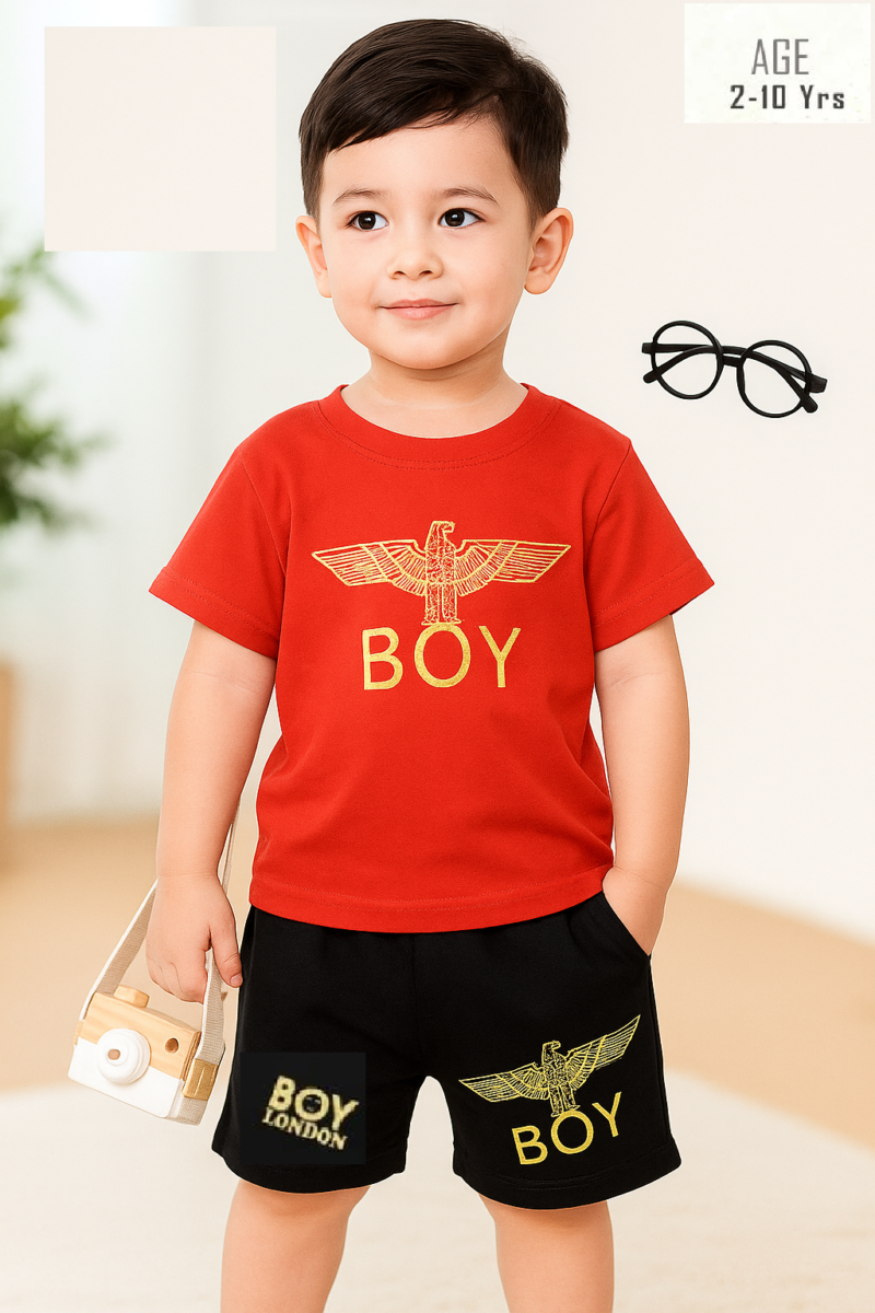 Premium Quality T-Shirt And Pant Combo Set For Baby ts1208